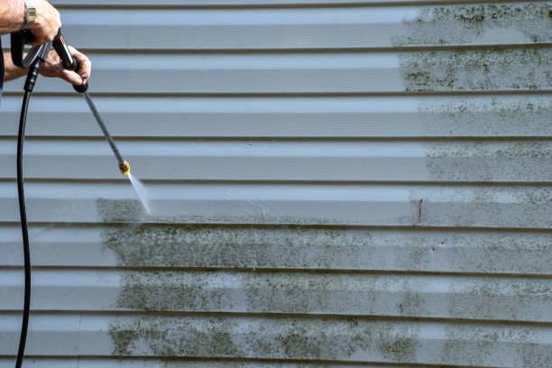 Best Foreclosure Cleanout  in Scottville, MI
