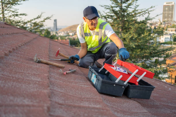Best Construction Debris Removal  in Scottville, MI